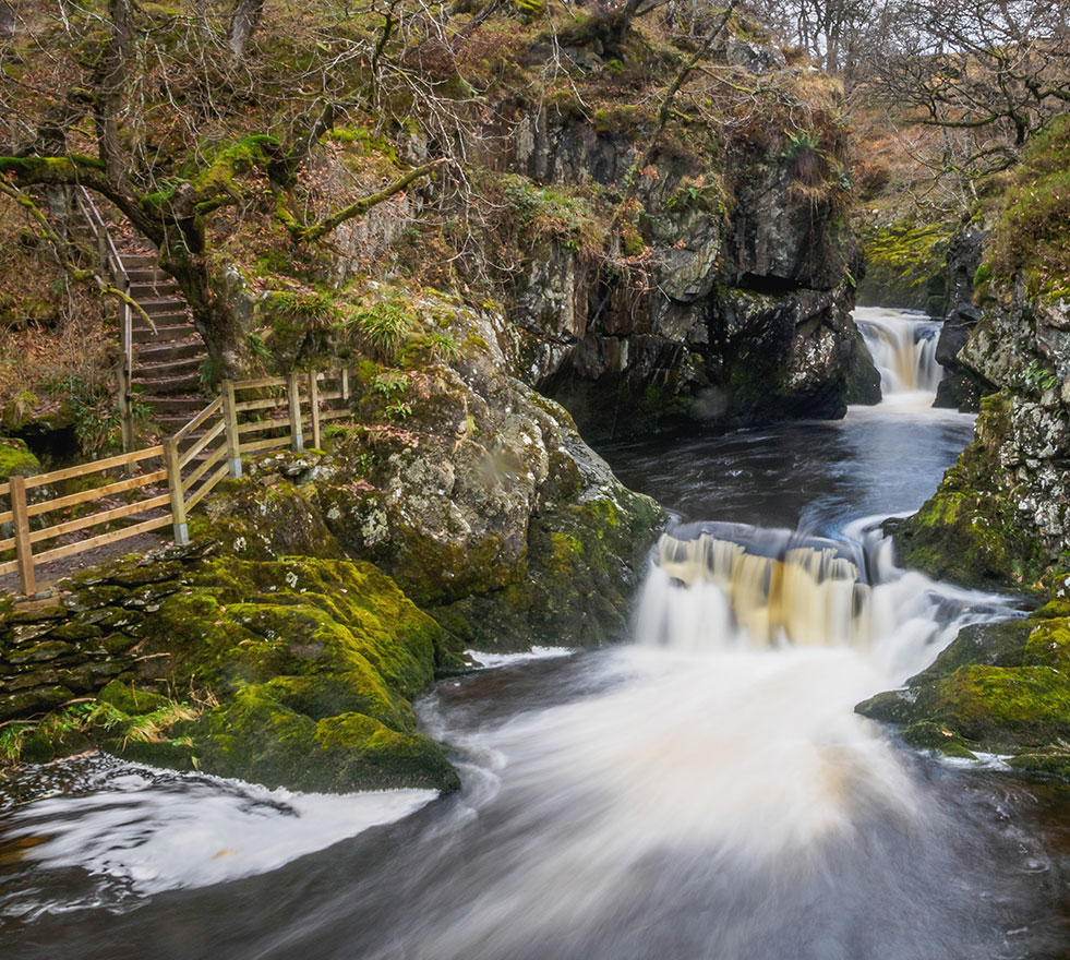 autumn in the yorkshire dales