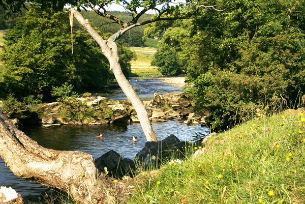 wild swimming settle